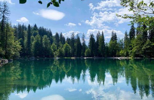 Apartment Chinook,La Praz,Chamonix Mont Blanc - Photo 48