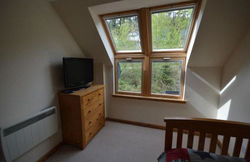 Tall Pines Apartment - Photo 10