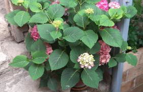 Ferienwohnung im idyllischen Jena Ziegenhain - Foto 28