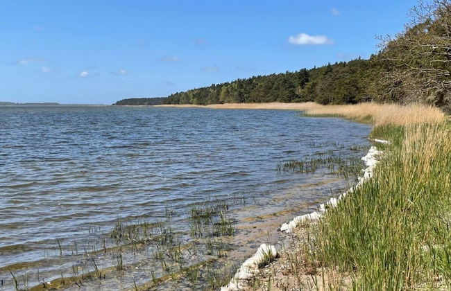 Strandgut Reethus Comfortable Holiday Residence - Photo 19