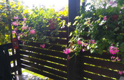 Apartman Sunce - Foto 29