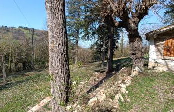 Casale La Pineta - Foto 12