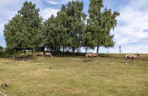 Ferienwohnung Wilder Mann - Photo 19