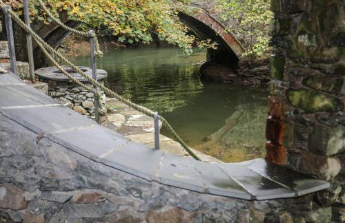 Melin y Coed - Foto 52