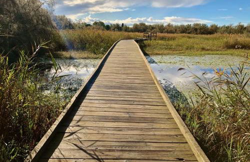 Rêves d'Ô en Camargue, clim réversible, parc naturel - Photo 22