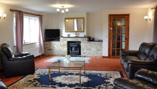 Copper Beech - Foto 2