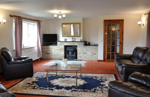 Copper Beech - Photo 2