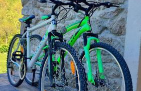 Peaceful Villa Ida&Mirko in nature with private pool - Foto 14