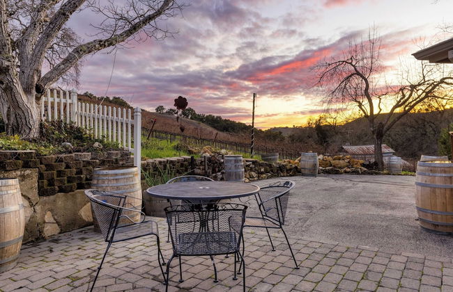 Luxury Wine Country Haven + Vineyard Views Near Top Wineries Adelaida Farmhouse - Foto 35