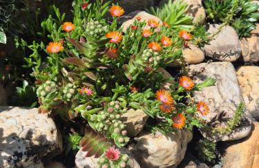 außergewöhnliches, historisches, spätgotisches Wohnhaus von 1519, Gries 5 - Foto 60