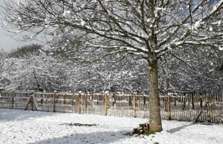 Ti Aval - Gîte de charme à la campagne - côte de granit rose - Foto 32