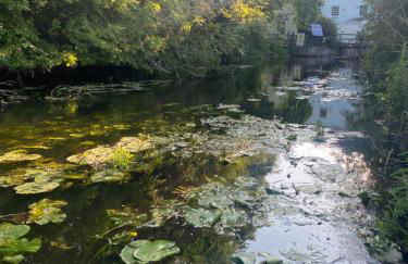 The Old Mill Cottage - Foto 4