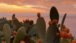 Masseria Tenuta I Quattro Venti - Foto 5