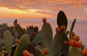 Masseria Tenuta I Quattro Venti - Foto 5