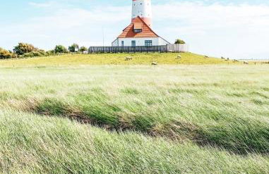 Lieblingsstube - Foto 22