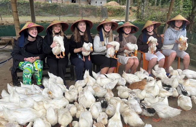 Carambola Bungalow - Foto 54