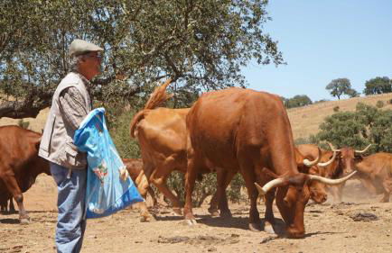 Agroturismo Xistos - Foto 58