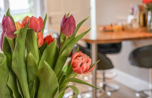 Castle View - Foto 16