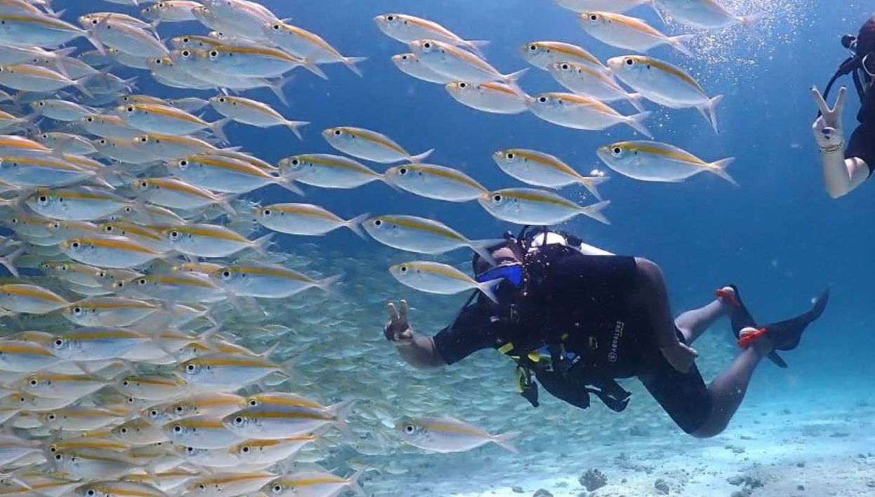 Buceo en la isla de Racha Yai