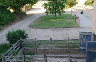 Ferienwohnung auf Pferdehof - Foto 14