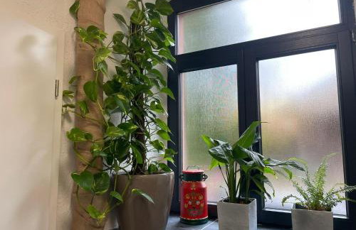 Pfarrgarten - Foto 10