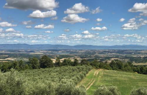 Borgo Poggio Bianco - Photo 4