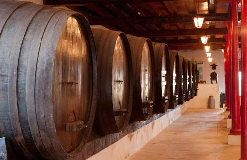 Quinta do Campo - Foto 44