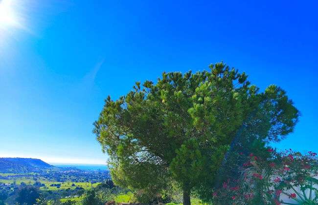 Lagos High Point Nature 2 by Homing - Foto 23