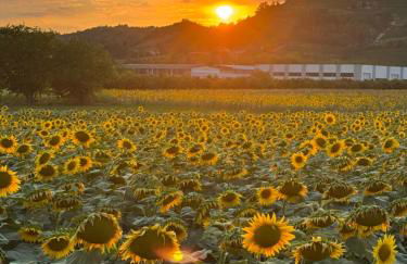 Appartamento Lana zona terme Centro e vicino a Villa Igea - Foto 30