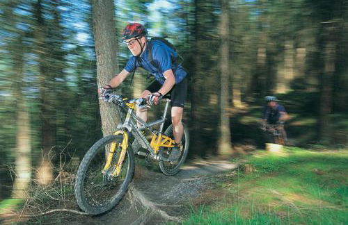 Llwyn-Y-Coed-Isaf - Foto 29