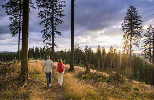 Country House Mettenberg - Foto 36