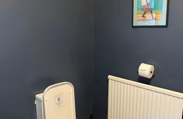 Bryn Rhedyn cottage - Foto 13