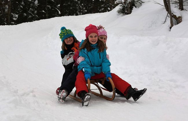 Comfort Apartment Goisernperle - Near Hallstatt - Foto 48