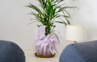 Blue Heart Luxury Suites - Foto 44