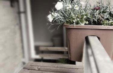 Tailte Trá - Foto 18