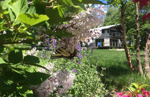 Acadia Ocean Front Garden Cottages - Foto 9
