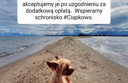 Domki Przy Tężni - Foto 32