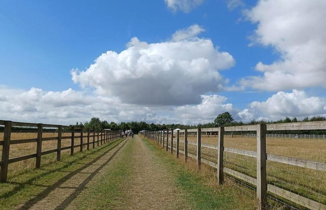 Little Lodge Glamping - Foto 12