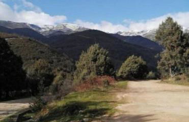 El LABRAO DE ALARDOS - Foto 35