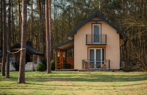 Kajaki wino i śpiew - domek z sauną w otoczeniu lasów i sąsiedztwie zalewu - Foto 30