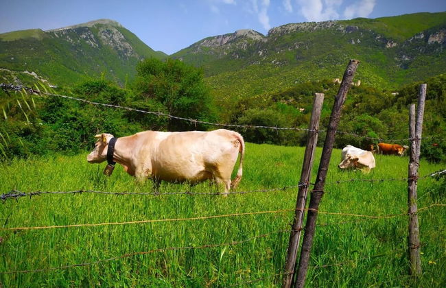 Agriturismo Colloreto - Foto 19