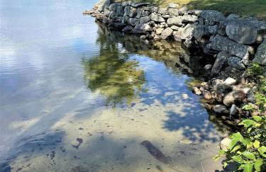 Perfect Maine Getaway in a Newly Renovated Cabin! - Foto 31