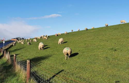 Bungalow Loos - Foto 21