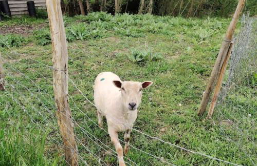 Tipi Apache des monteaux - Photo 16