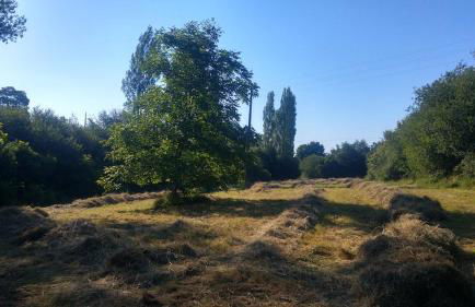 L'Angeberdière - Foto 26