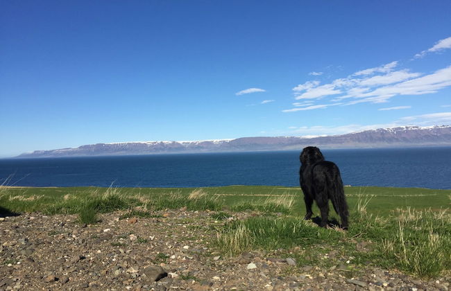 Steinn Farm Private Apartment - Photo 1