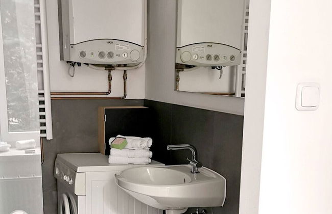 Yellow Palm - Foto 13