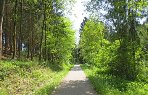 Ferienwohnung Schusternagerl - Foto 24