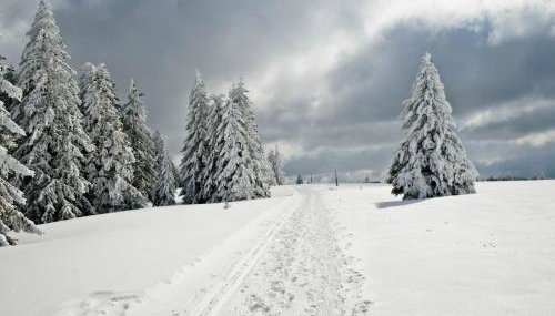 Fidelis-Bühl Muggenbrunn - Foto 5