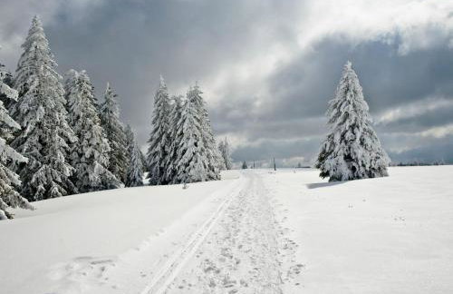 Fidelis-Bühl Muggenbrunn - Foto 5